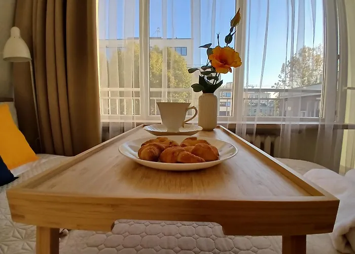 Downtown Elegant & Sunny Apartment Near Metro Central Station
